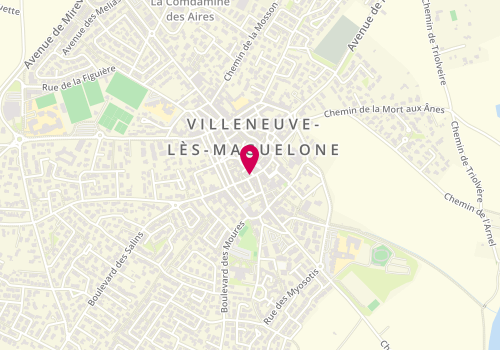 Plan de COGOLUEGNES Marie, 6 Rue de la Grenouillere, 34750 Villeneuve-lès-Maguelone