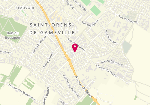 Plan de PIKETTY Raphaele, 4 Impasse Dordac, 31650 Saint-Orens-de-Gameville