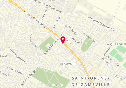 Plan de BETOUS Philippe, 9 Rue des Bernieres, 31650 Saint-Orens-de-Gameville