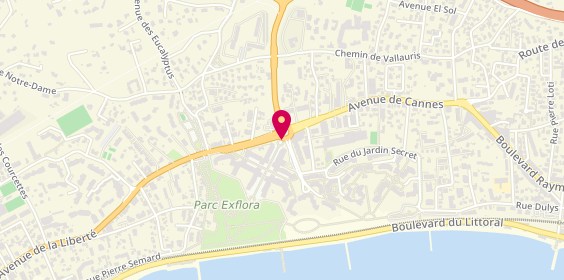 Plan de DALLAVALLE Elodie, 55 Avenue de Cannes, 06160 Antibes