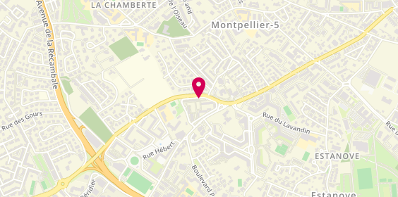 Plan de HAMMOUTI Ghislaine, 19 Rue des Manguiers, 34070 Montpellier