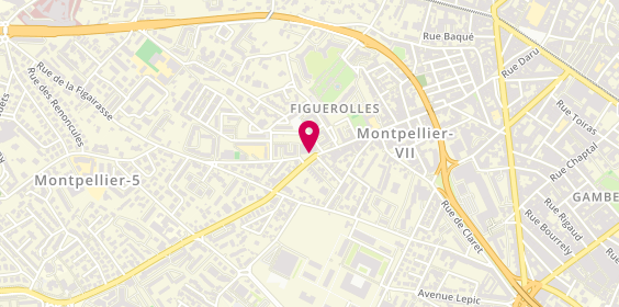 Plan de BUREL Bénédicte, 2 Rue du Mas du Merle, 34070 Montpellier