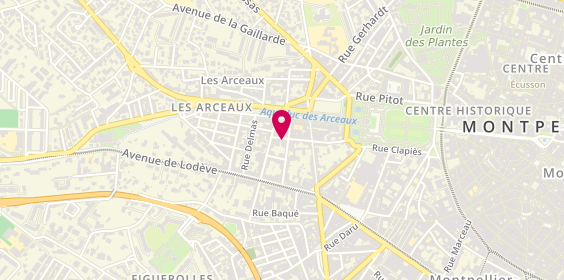 Plan de BAYLE Agnès, 21 Rue Subleiras, 34000 Montpellier