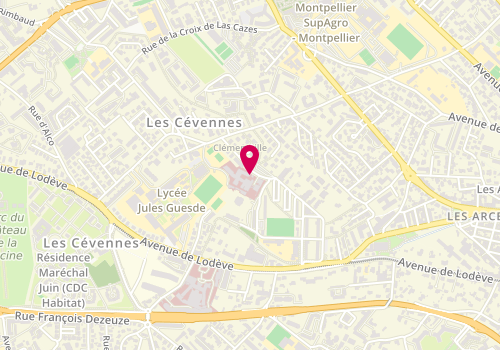 Plan de SAUVAGE Maxime, 25 Rue de Clementville, 34070 Montpellier
