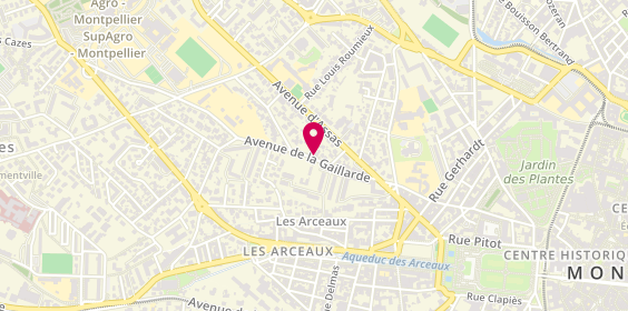 Plan de ARMAND Nadine, 14 Avenue de la Gaillarde, 34000 Montpellier