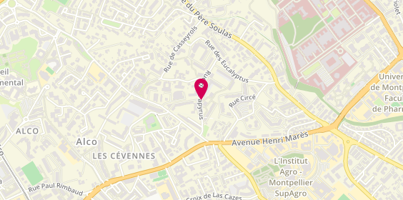 Plan de VAKHCHOUR Corinne, 253 Rue des Papyrus, 34080 Montpellier