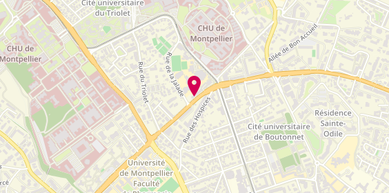 Plan de FERNANDEZ Olivia, 315 Avenue Frederic Sabatier d'Espey, 34090 Montpellier