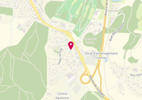 Plan de BUXEDA PASTOR Lourdes, 100 Allee de Lauzard, 34980 Saint-Gély-du-Fesc