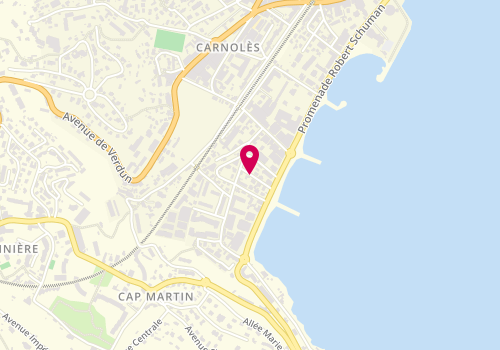 Plan de DELEYE Carole, 89 Avenue des Palmiers, 06190 Roquebrune-Cap-Martin