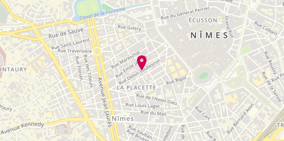 Plan de VIDAL Laure, 10 Rue Delon Soubeyran, 30900 Nîmes