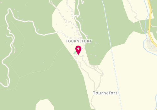 Plan de FOURNIER-ALBANO Pascale, 227 Chemin du Vieux Village, 06420 Tournefort