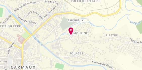 Plan de DELMAS Marie Christine, Chemin de la Mouline, 81400 Carmaux