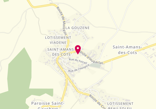Plan de TEULIER Delphine, Route de Laguiole, 12460 Saint-Amans-des-Cots