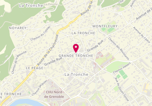 Plan de BERTHAIL Marie, 47 Grand Rue, 38700 La Tronche