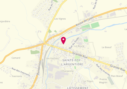 Plan de BERTHET Anaïs, 184 Rue Louis Chaize, 69610 Sainte-Foy-l'Argentière