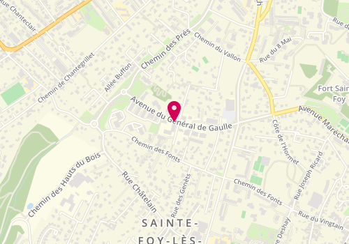 Plan de BOULLET Marie, 36 Avenue du Général de Gaulle, 69110 Sainte-Foy-lès-Lyon