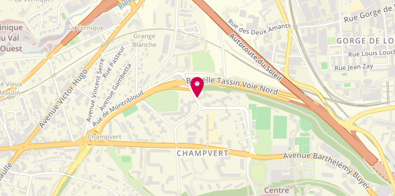 Plan de CHELIUS Aurélie, 35 Rue Professeur Patel, 69009 Lyon