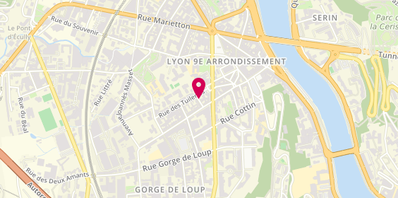 Plan de BARON Rachèle, 3 Rue des Prés, 69009 Lyon
