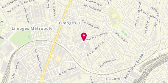 Plan de DELOISON Aurélie, 110 Rue du Chinchauvaud, 87000 Limoges