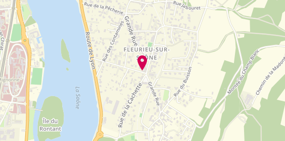 Plan de ANDRZEJEWSKI Cécile, 23 Rue Philibert Gaillard, 69250 Fleurieu-sur-Saône