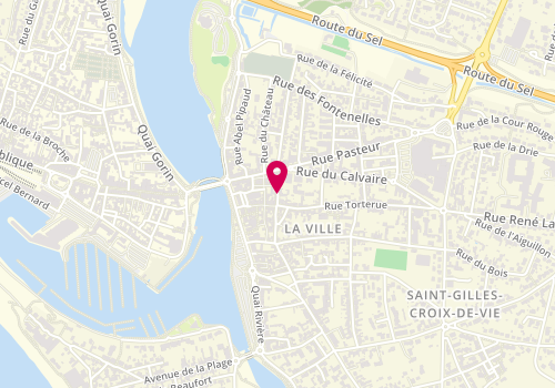 Plan de PAPIN-TEXIER Dominique, 6 Rue Raynaud, 85800 Saint-Gilles-Croix-de-Vie