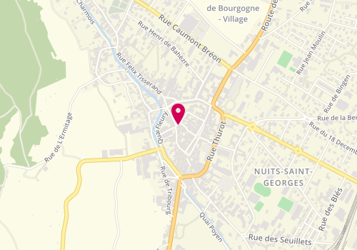 Plan de DONZEL Lydie, 4 Place Eugene Sirugue, 21700 Nuits-Saint-Georges