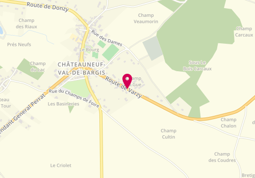 Plan de ROY Christine, 35 Route de Varzy, 58350 Châteauneuf-Val-de-Bargis
