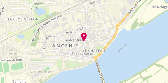 Plan de JOUBERT Claudine, 59 Bis Rue Aristide Briand, 44150 Ancenis-Saint-Géréon