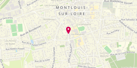 Plan de DE ARAUJO Sandra, 19 Rue du Sénateur Belle, 37270 Montlouis-sur-Loire