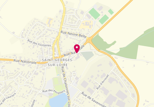 Plan de CHAUVIRAY Lucie, 20 Rue Tuboeuf, 49170 Saint-Georges-sur-Loire