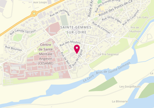 Plan de BROUARD Marie Christine, 4 Rue de l'Abbé Biotteau, 49130 Sainte-Gemmes-sur-Loire