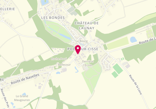 Plan de PAGE Ludivine, 1 Route d'Amboise, 37530 Pocé-sur-Cisse