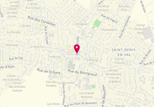 Plan de ROUSSEAU Delphine, 22 Rue des Ecoles, 45560 Saint-Denis-en-Val