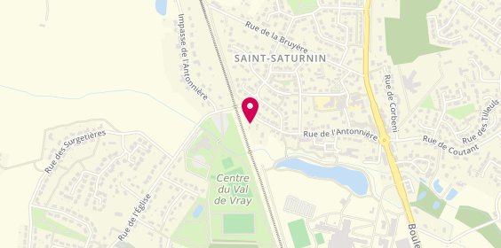 Plan de BURSON Catherine, 59 Rue de l'Antonniere, 72650 Saint-Saturnin