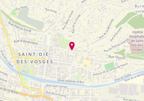 Plan de MERCIER Marie, 29 Rue Saint Charles, 88100 Saint-Dié-des-Vosges