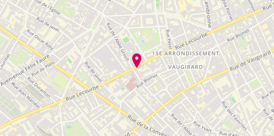 Plan de LAMOUREUX Virginie, 193 Rue Lecourbe, 75015 Paris