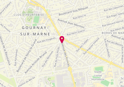 Plan de EL Assad Myriam, 4 Avenue des Princes, 93460 Gournay-sur-Marne