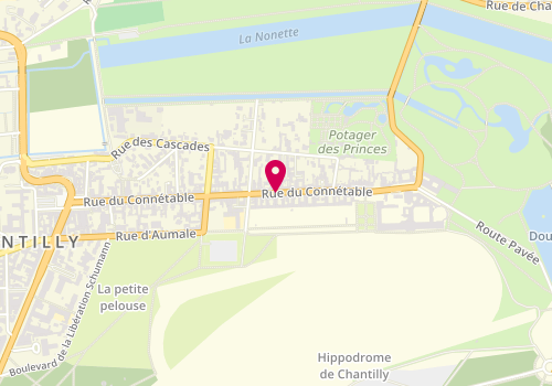 Plan de PINGUET Catherine, 72 Rue du Connetable, 60500 Chantilly
